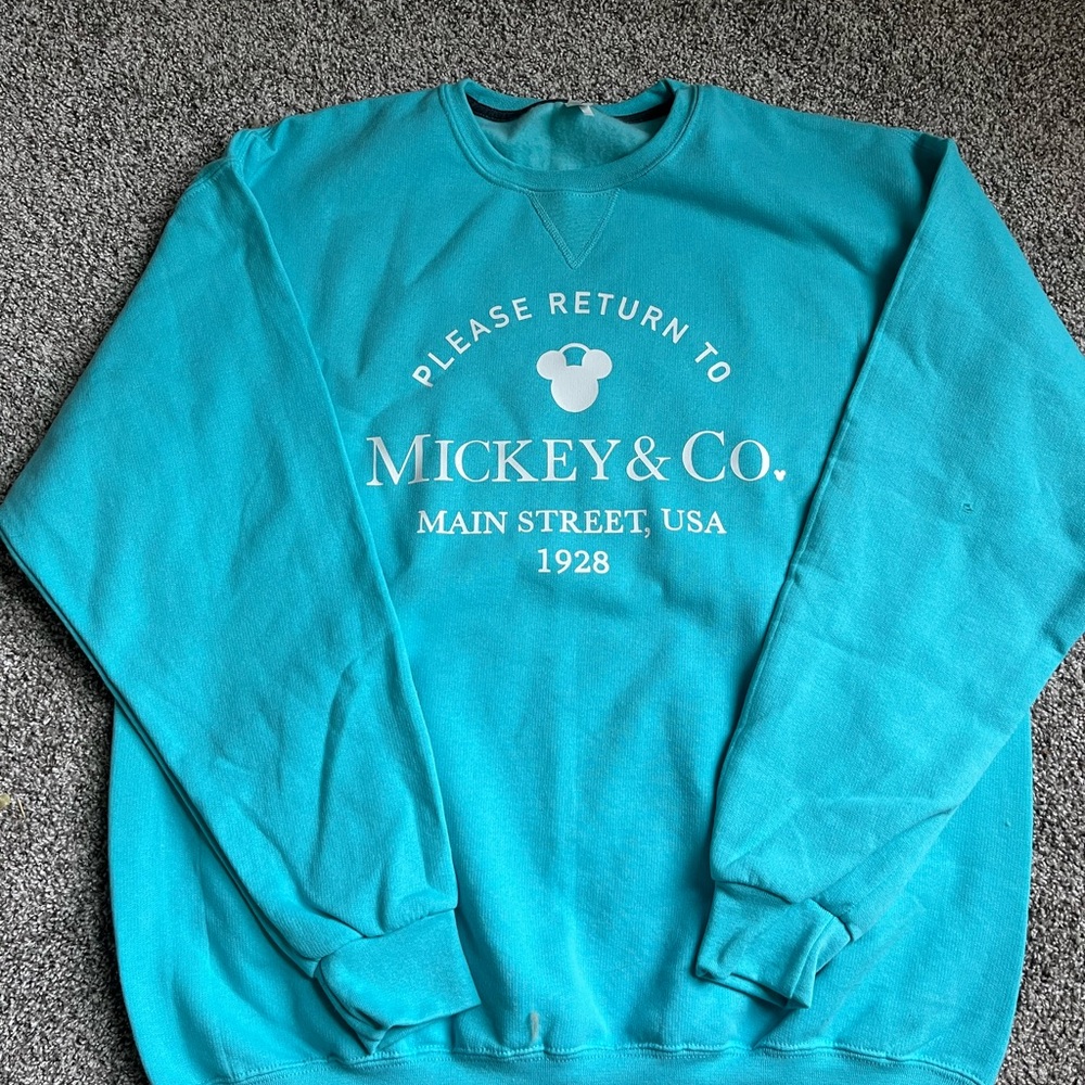 NWOT(slight hole on sleeve)  Please Return to Mickey and Co.XL  Teal Crewneck
